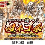 【にゃんこ大戦争】超ネコ祭　15連