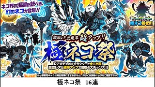 【にゃんこ大戦争】極ネコ祭　16連