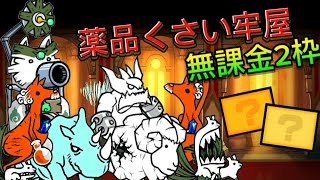 薬品くさい牢屋 無課金 2枠【にゃんこ大戦争】