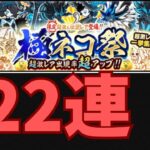 久しぶりのガチャ極ネコ祭22連チャレンジ【にゃんこ大戦争実況#416】