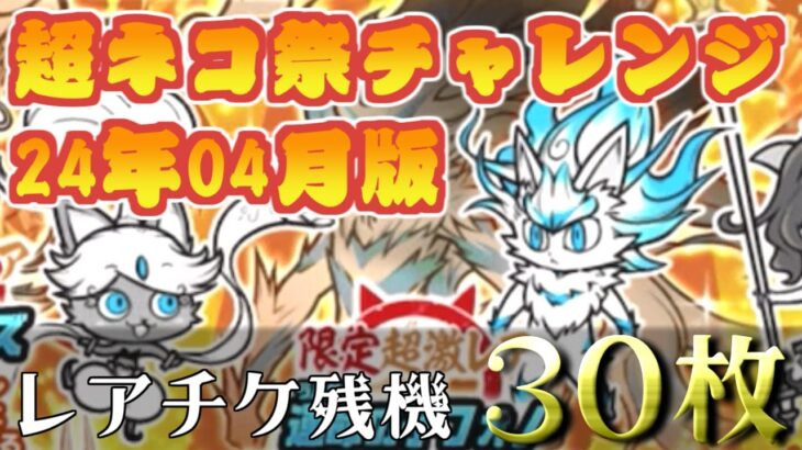 【にゃんこ大戦争】夏バテを吹っ飛ばせ！いや、吹っ飛ばさせて…　24年6月　超ネコ祭チャレンジ　最大30枚