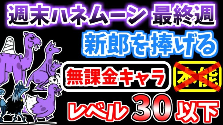 【にゃんこ大戦争】新郎を捧げる（週末ハネムーン 最終週 3ステージ目）を低レベル無課金キャラで攻略！【The Battle Cats】