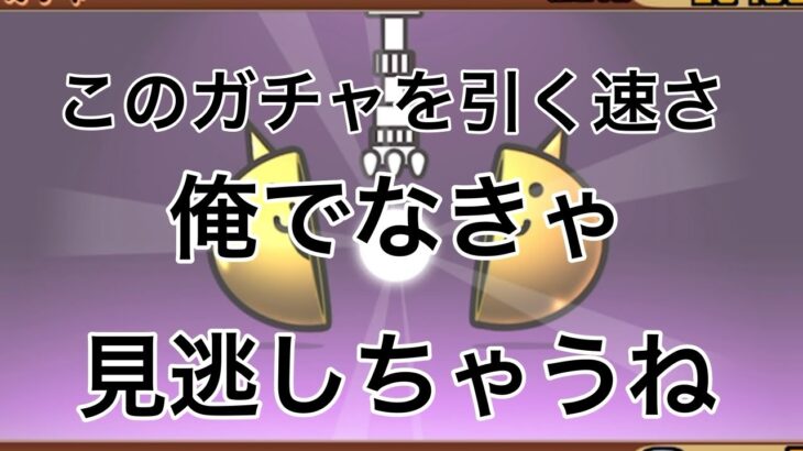 【にゃんこ大戦争】神速ガチャ　コラボ生活　9日目【第三章パート2】