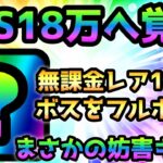 脅威のDPS18万へと覚醒した無課金妨害キャラでボスをシバくw にゃんこ大戦争