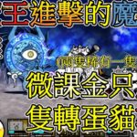 大魔王進擊的魔漩渦極難微課金攻略丨貓咪大戰爭EP14