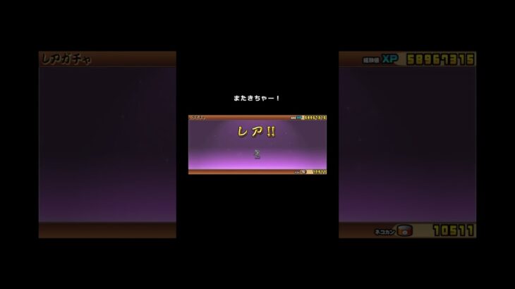 【にゃんこ大戦争】METALSLUGコラボガチャでネコ缶を使って回してみたよ！（24.01.20）②