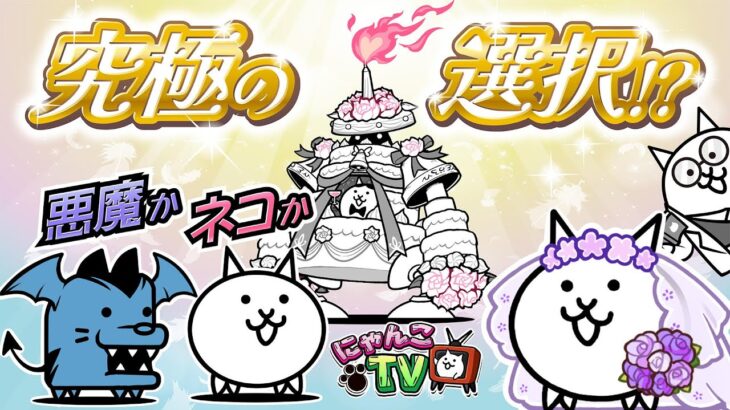 【にゃんこTV】悪魔のジューンブライド2024にゃ！【にゃんこ大戦争公式】