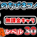 【にゃんこ大戦争】開眼のちびネコノトリ襲来！（ちびネコノトリ進化への道）を本能なし低レベル無課金キャラで攻略！【The Battle Cats】