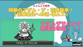 《にゃんこ大戦争-The battle cats》￥無課金勢￥ 開眼のマザム・ザ・花嫁襲来！（花嫁進化への道-激ムズ）240617　[貓咪大戰爭-냥코 대전쟁]