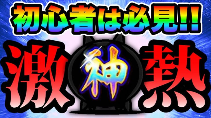 【初心者必見】この神キャラゲットなら今月が激アツです！！　にゃんこ大戦争