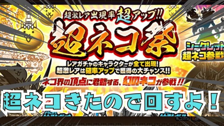 【にゃんこ大戦争】超ネコ祭きたから回すぜ！己の運を信じて回した結果は？？