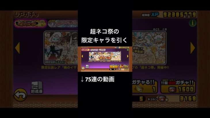 にゃんこ大戦争-超ネコ祭ガチャ　#にゃんこ大戦争 #ゲーム #ガチャ #限定キャラ