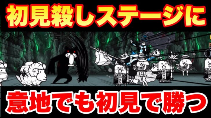 初見殺しステージに意地でも初見で勝つ　#にゃんこ大戦争　#水中洞窟の生態系　#寸止め打撃対戦