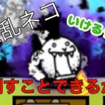 大狂乱ネコ今の状態ならいけるっしょ…と思った結果⁉️