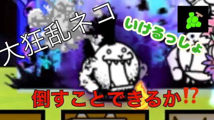 大狂乱ネコ今の状態ならいけるっしょ…と思った結果⁉️