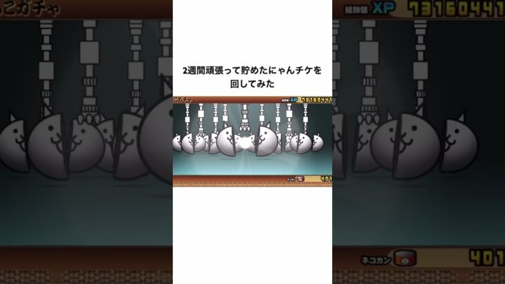 [にゃんこ大戦争] にゃんこガチャ10連回してみた