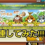 【にゃんこ大戦争】ジョージが「ねこのなつやすみ」のイベントガチャを100連するようです。 #にゃんこ大戦争  #おさじょミーム