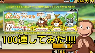 【にゃんこ大戦争】ジョージが「ねこのなつやすみ」のイベントガチャを100連するようです。 #にゃんこ大戦争  #おさじょミーム