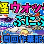 【2024/07/09】にゃんこ大戦争真・レジェ進めます！初見さんも是非！【にゃんこ大戦争】