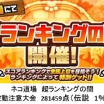 【にゃんこ大戦争】ネコ道場　超ランキングの間　波動注意大会　281459点（2024/07/22～2024/08/12）