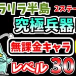 【にゃんこ大戦争】究極兵器トド（パラリラ半島 2ステージ目）を本能なし低レベル無課金キャラで攻略！【The Battle Cats】