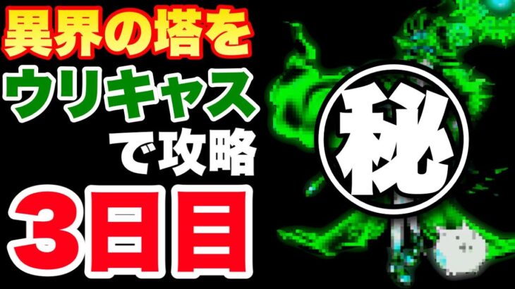 異界の塔をウリキャスで攻略〜3日目〜　#にゃんこ大戦争