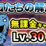 ネコたちの解放　無課金キャラのみ・レベル30以下で簡単攻略【にゃんこ大戦争】