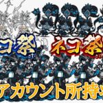 極ネコ祭40連と所持事情【にゃんこ大戦争】