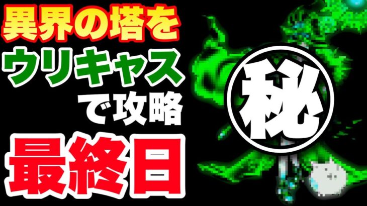 異界の塔50階をウリキャスで攻略〜最終日〜　#にゃんこ大戦争