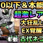 古代の呪い   これで楽勝です！ Lv.30以下＆本能なし＆超激レアなし＆覚醒EXなし！　にゃんこ大戦争  真・伝説のはじまり