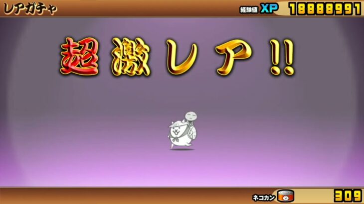 【Switch版】ネコカンで超極ネコ祭10連ガチャ【にゃんこ大戦争】