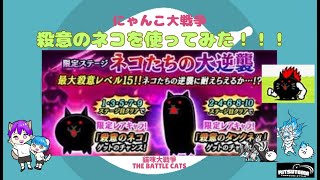 《にゃんこ大戦争-The battle cats》￥無課金勢￥ 【使ってみた】【使ってみた】スペレア（殺意のネコ）240707　[貓咪大戰爭-냥코 대전쟁]