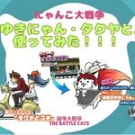 《にゃんこ大戦争-The battle cats》￥無課金勢￥ 【使ってみた】スペレア（赤髪のゆきにゃん・タクヤとユキ）240712　[貓咪大戰爭-냥코 대전쟁]