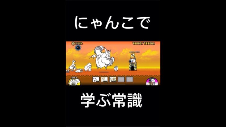 にゃんこ大戦争で学ぶ常識part3#にゃんこ大戦争#常識#ショート#ゲーム