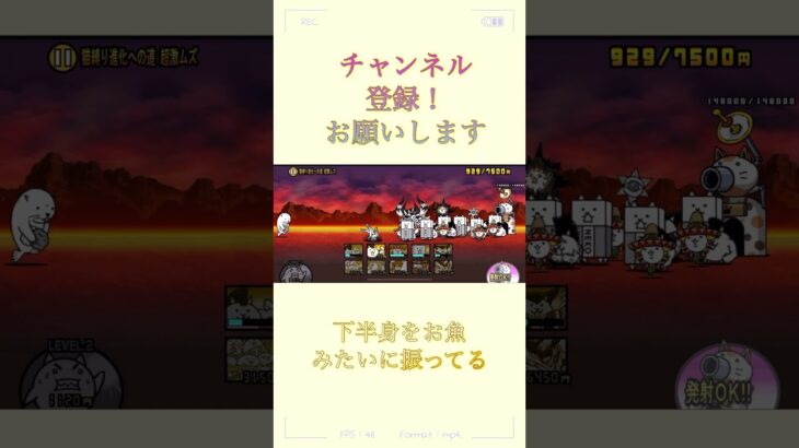 この音なんか好きなんだよね〜。 #初心者 #ゲーム #にゃんこ #にゃんこ大戦争 #未知の生命体