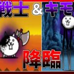 【にゃんこ大戦争】狂乱のバトルネコと狂乱のキモネコに挑戦！果たして勝てるのか？！【初心者】【ゆっくり実況】