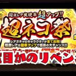 【にゃんこ大戦争】そろそろ何か引きたい！超ネコ祭来てたのでガチャるぞ！！！