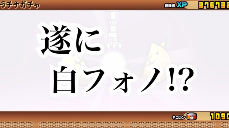 【にゃんこ大戦争】ガチャシミュレーションを使ってプラチナチケットをガチャった結果