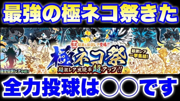 最強のガチャ「極ネコ祭」が登場！全力投球は◯◯です！　#にゃんこ大戦争