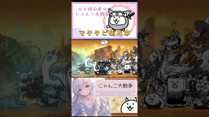 ガチ初心者【にゃんこ大戦争】キャラの出し方って、これでいいの？無駄に出しすぎ？？#にゃんこ大戦争