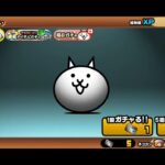 ゴミ引きガチャ【にゃんこ大戦争】