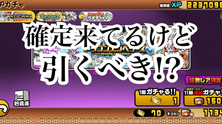 【にゃんこ大戦争】今来てる確定のドラゴンエンペラーズガチャと不確定のギガントゼウスガチャは、引くべきか考えてみた