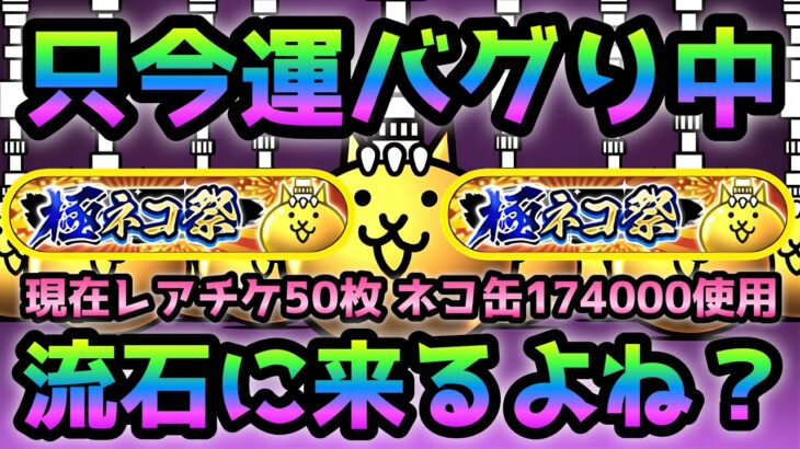 極ネコ祭 vs 運バグり中の私  そろそろ来るよね？  にゃんこ大戦争