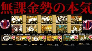 【にゃんこ大戦争】闇目実装から1年半…無課金でも90個以上集められます！そして汎用編成が完成！？