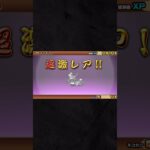 【にゃんこ大戦争】　課金したプラチナガチャを2回引いてみた。　#にゃんこ大戦争#プラチナガチャ#エルセラ