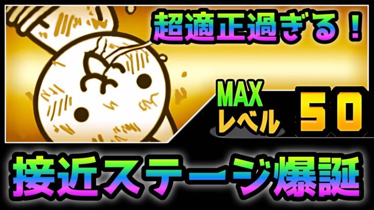 お昼寝アクティビティ   猫縛り極上接近ステージ爆誕  無課金2枠のみ　にゃんこ大戦争　行楽地デラコスパ