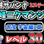 【にゃんこ大戦争】霊峰ニクマンジャロ（超越サバンナ 2ステージ目）を宇宙編のお宝1章、本能なし低レベル無課金キャラで攻略！【The Battle Cats】