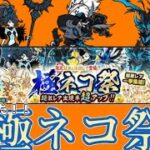 【にゃんこ大戦争】極ネコ祭に2万課金してみたぁぁ！！まさかの結果に！？！？にゃんこ日記Part12