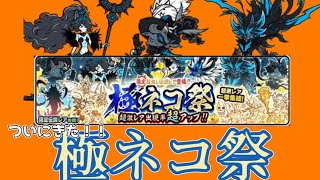 【にゃんこ大戦争】極ネコ祭に2万課金してみたぁぁ！！まさかの結果に！？！？にゃんこ日記Part12