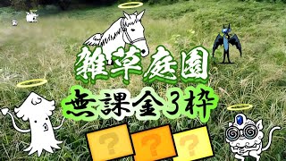 雑草庭園 無課金3枠【にゃんこ大戦争】